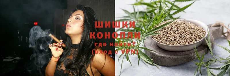 Бошки марихуана THC 21%  Канаш 